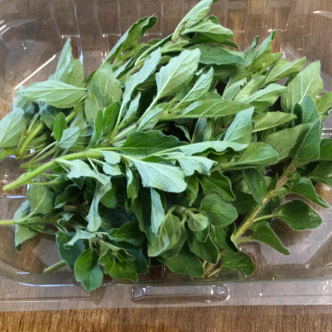 Oregano