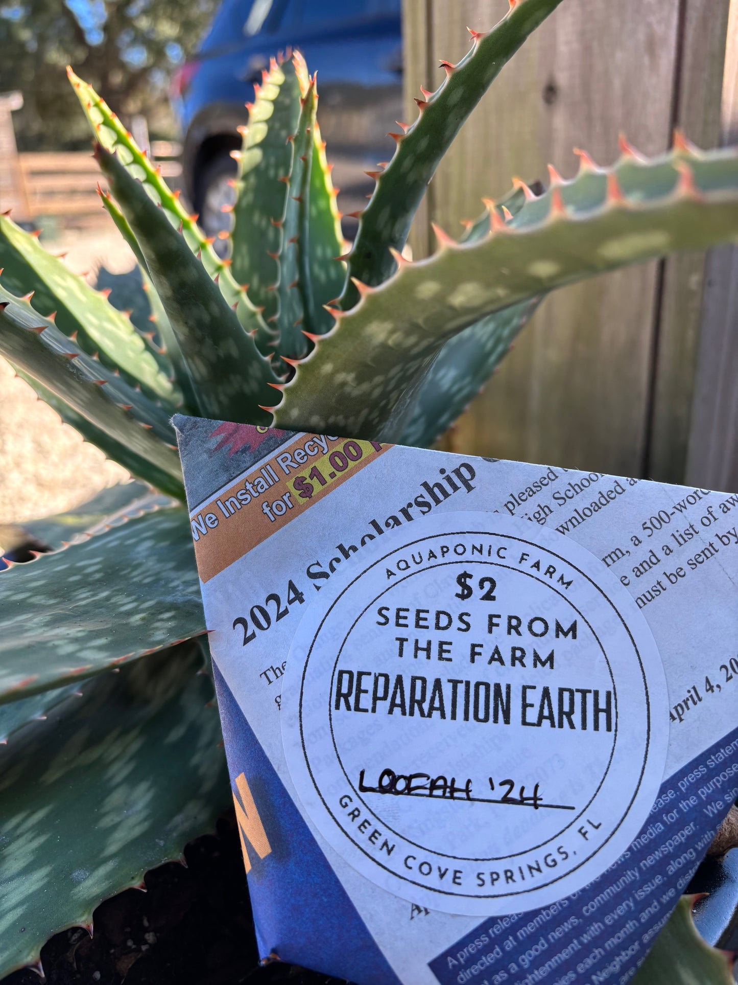 Seed Packet