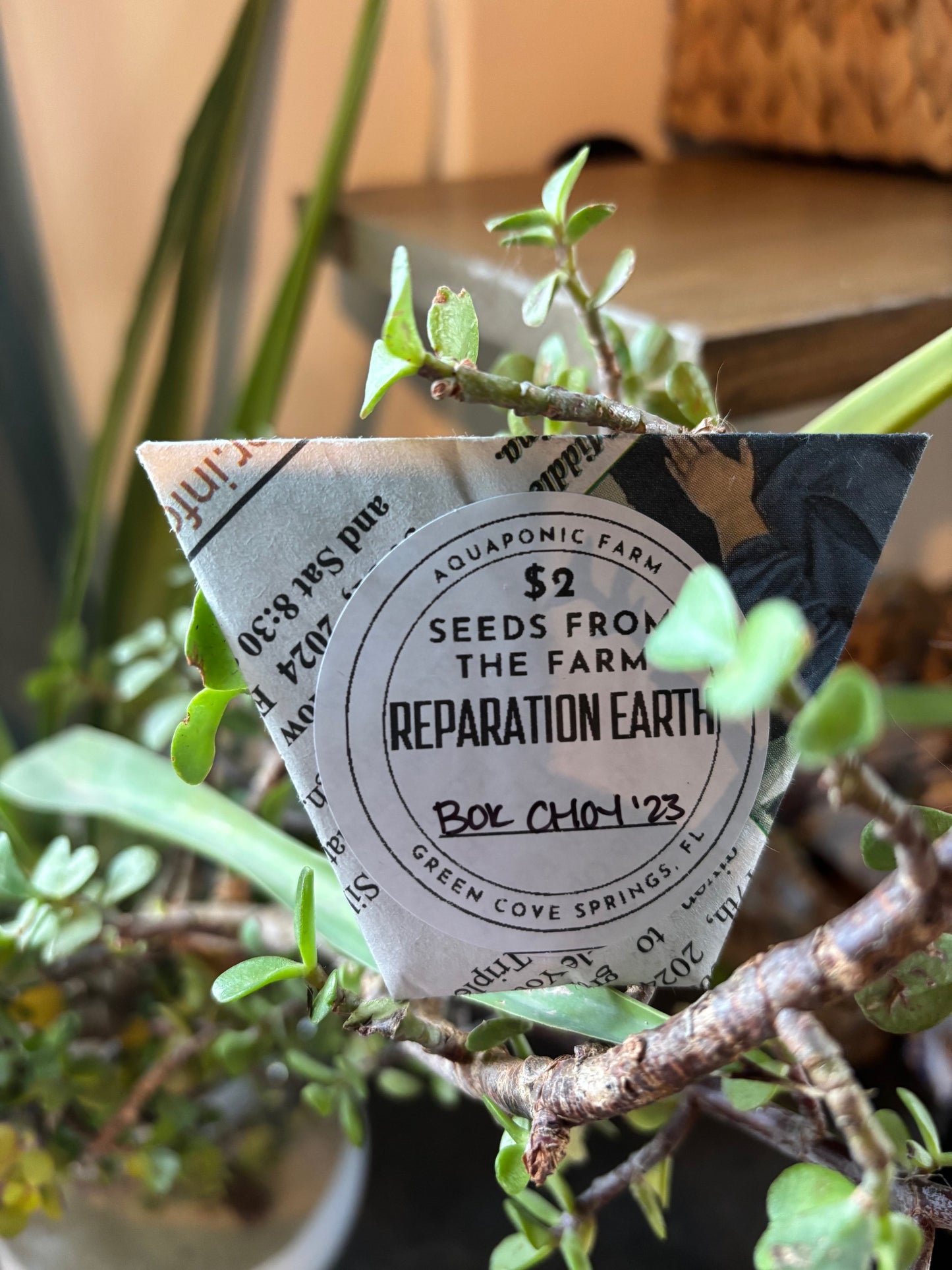 Seed Packet