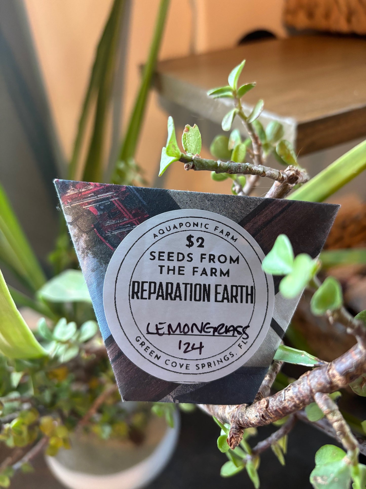 Seed Packet