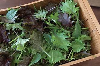 Baby Kale Mix