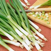Bunching Onions