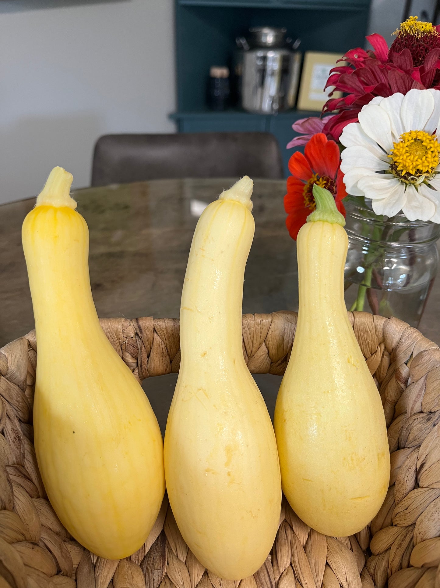 Yellow Squash