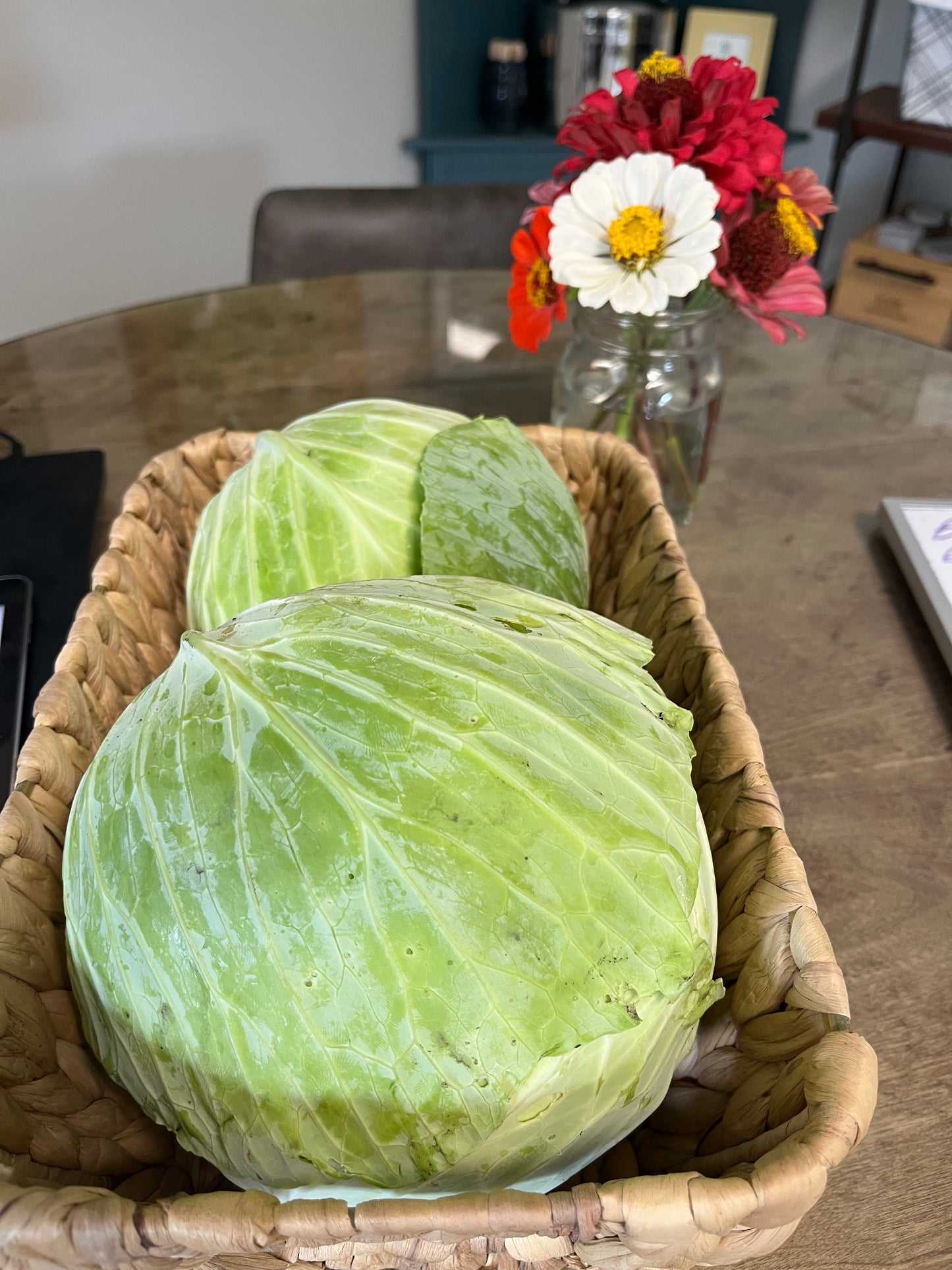 Cabbage