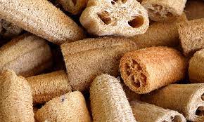 Loofah