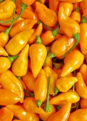 1/4 lb Datil Peppers