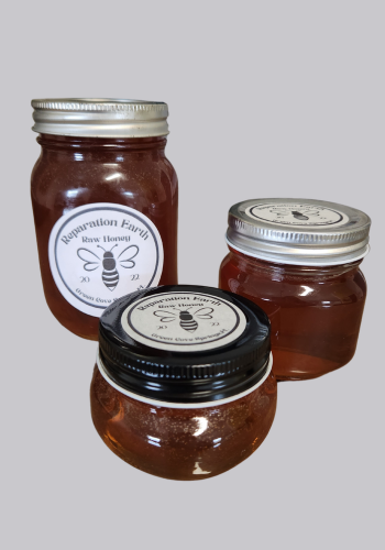 RE Raw Local Honey 6oz
