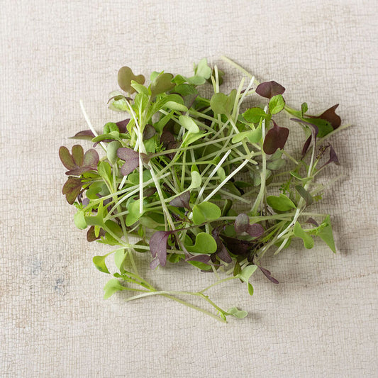 Microgreen- spicy