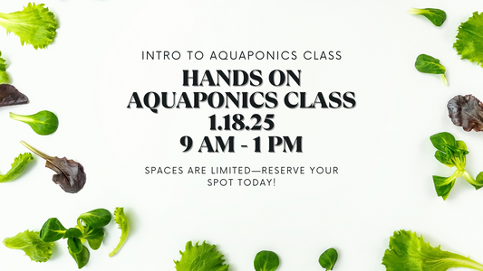 Intro to Aquaponics